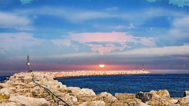 美高梅：园林绿化的土壤为