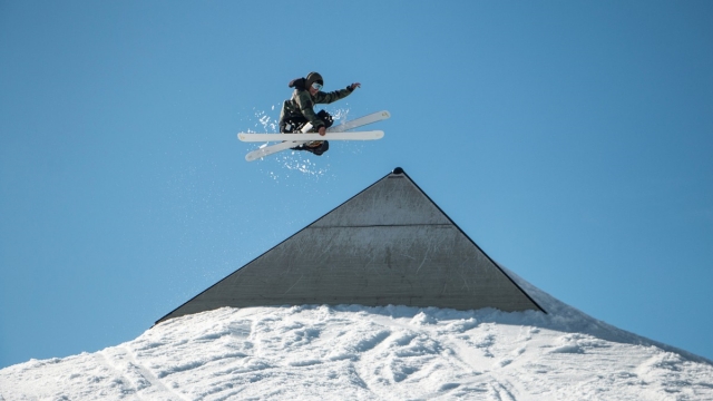 MGM：园林绿化养护保成