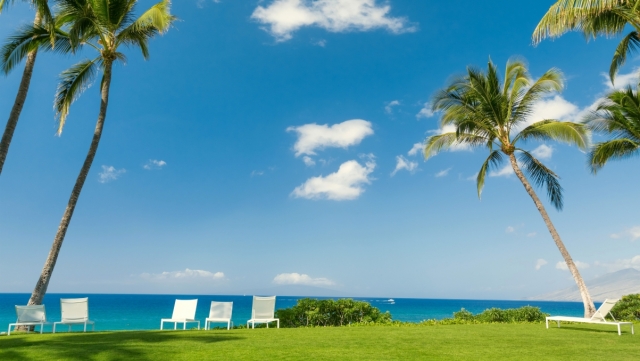 园林绿化农药草种子