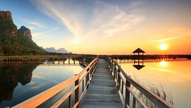 美高梅集团：园林绿化地被都有什么