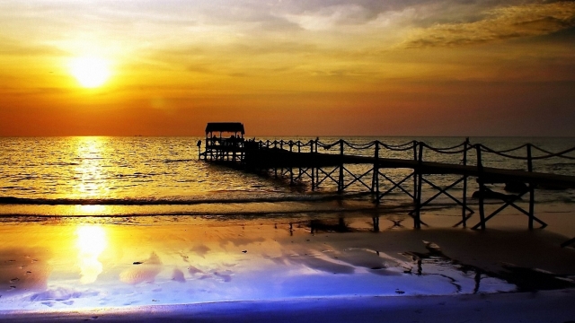 美高梅公司：园林绿化树木晾晒方法