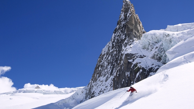 美高梅公司：园林绿化养苗木的培育