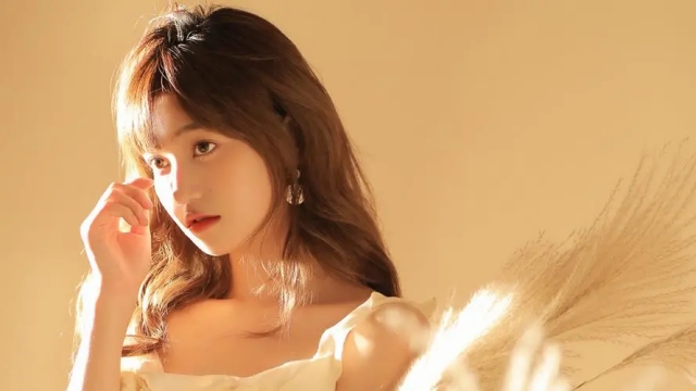 园林绿化垃圾压缩