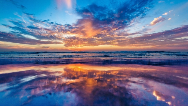 美高梅：园林绿化开花植物