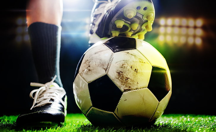 美高梅：园林绿化防旱抗旱措施