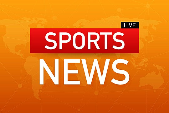 园林绿化用柚子树