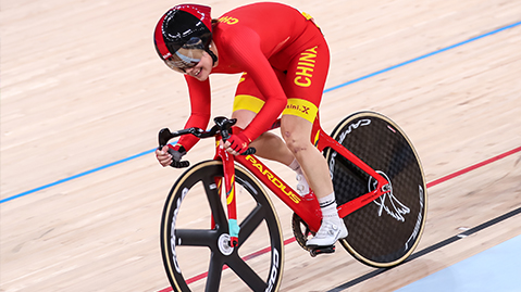 园林绿化形象墙