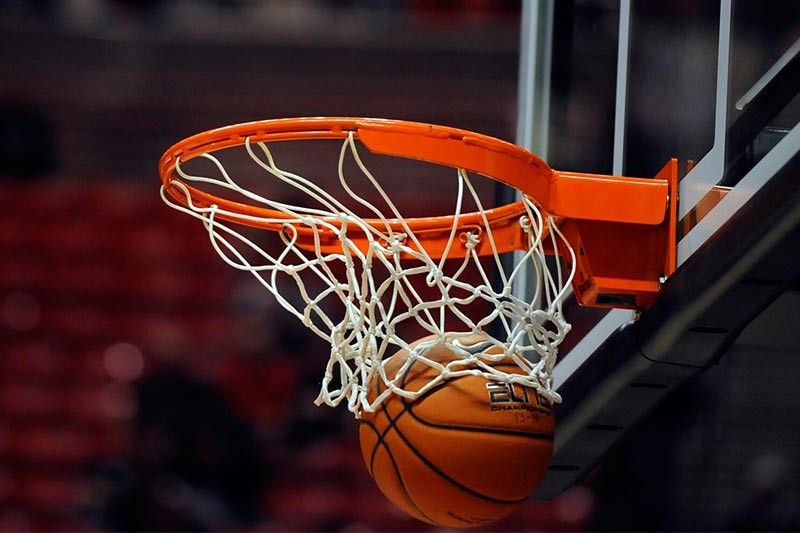 园林绿化有几种草皮